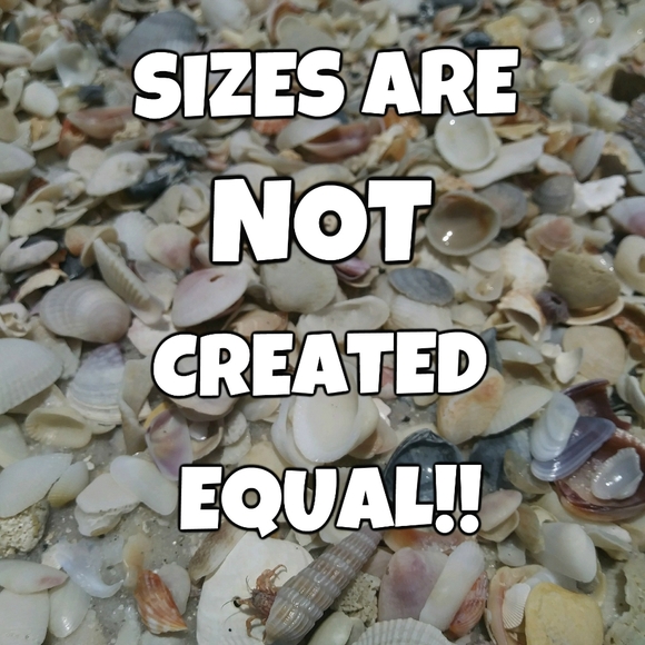 ABOUT MY CLOSET - Picture 2 of 16